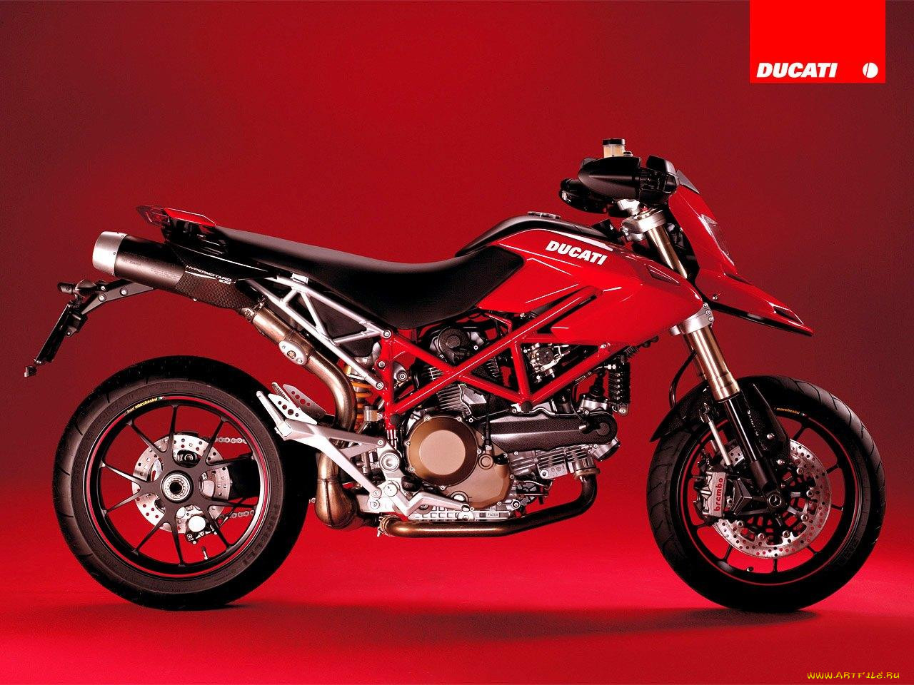 , ducati